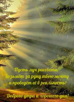 Чашка чая: картинки доброе утро удачного дня - инстапик | Доброе утро,  Открытки, Чашка чая