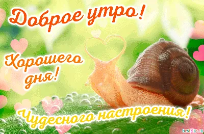 Открытки \"Доброго утра!\" в понедельник (100+)