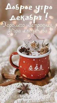 🎅 С ДОБРЫМ УТРОМ, ДРУЗЬЯ! 🎅 Сегодня утро декабря, Я доброе утро тебе  пожелаю. Стучится.. | ВКонтакте