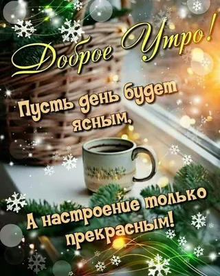 Доброе,зимнее утро ❄️❄️❄️☺️👍🏻! #доброеутро#хорошегодня... | TikTok