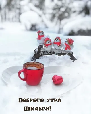 Доброе Воскресное Утро! 3 Декабря. #доброгоутречка #владаалматы #добор... |  TikTok