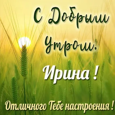 Пин от пользователя Ольга Кальтенбергер на доске привет | Доброе утро, С  днем рождения, Красивые цветы