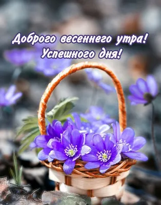 🌸 ДОБРОЕ УТРО! 🌺Пусть этот день будет лучше, чем прежний! 👌 #shorts -  YouTube