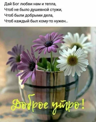 Статусы со смыслом - С Добрым утром 🤗😇 | Facebook