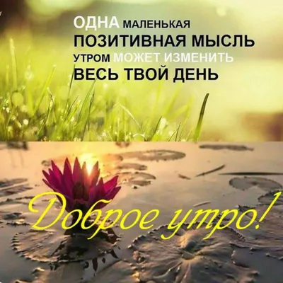 С добрым утром!#видеооткрытка #открыткасдобрымутром#открытка #рекоменд... |  TikTok