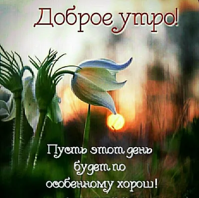 Юмор со смыслом - Доброе утро ☀️ | Facebook