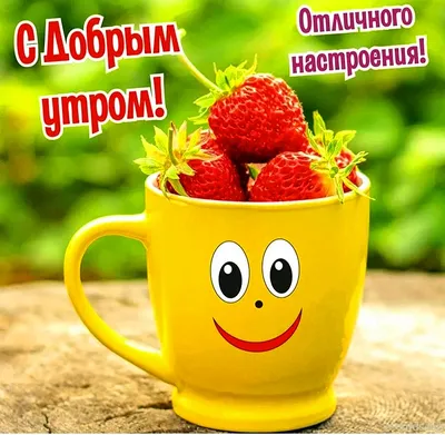 ДОБРОЕ УТРО! 🍁🍒🍫☕🍂🍎🍂☕🥧🍒🍁 Хорошего настроения в любую погоду! |  Смешные счастливые дни рождения, Доброе утро, Фотографии для мотивации