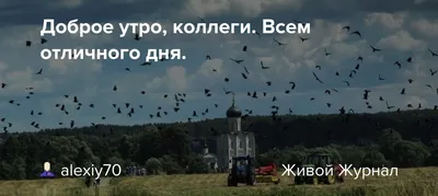 Доброе утро. Коллеги!