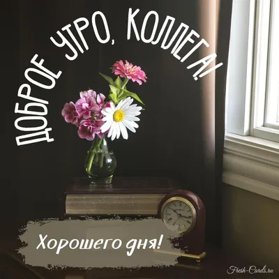 Прикольные картинки \"Доброе утро!\" (300 шт.) » Юмор, позитив и много  смешных картинок