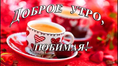 ДОБРОЕ УТРО ЛЮБИМЫЙ! #доброеутролюбимый #любимому #любимомучеловеку #с... |  TikTok