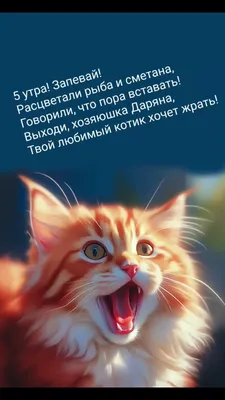 Котоматрица: Если утром в понедельник ваш любимый добрый котик сделал  страшного