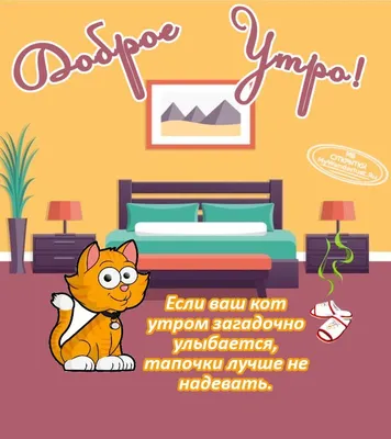 🙀УТРЕННЯЯ МУЗЫКАЛЬНАЯ ОТКРЫТКА С МИЛЫМИ КОТИКАМИ ДЛЯ ВАС 🙀 С ДОБРЫМ УТРОМ  🙀 ХОРОШЕГО ДЕНЬКА🙀 - YouTube