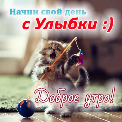 Доброе утро котенок#любимому | TikTok