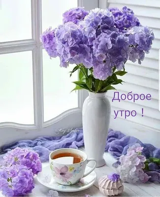 Красивые картинки - Доброе утро, Ольга! (52 фото)