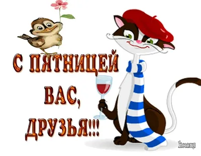 Пин от пользователя Светлана на доске ДОБРОЕ УТРО в 2023 г | Волшебные  создания, Открытки, Смешные открытки