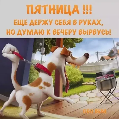 https://www.1tv.ru/shows?all