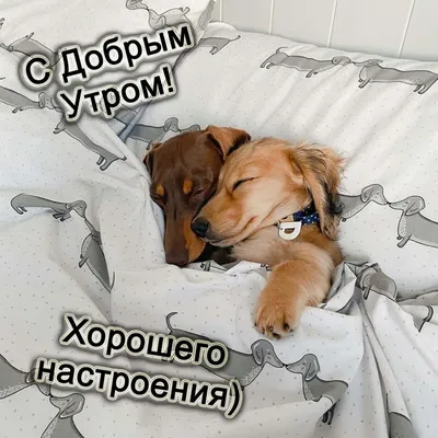 Доброго утра!!!... - КПМ - Доброе Утро - Приятных Сновидений | Facebook