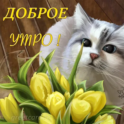 ДОБРОЕ УТРО! 💗🦋🤪🌼💐😘🌿🦋🌼🤩💗 Улыбнись, и весь мир улыбнется тебе! 😄  | Доброе утро, Смешные открытки, Веселые картинки