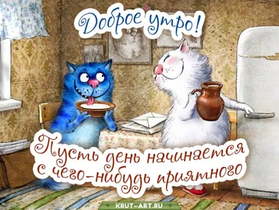 ЛЕТНЕЕ 🐾😽💗😸🐾 УТРО ДОБРОЕ! | Иллюстрации кошек, Самые милые животные,  Забавные зверюшки