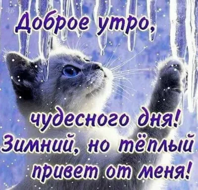 Доброе утро!И хорошего дня!!!