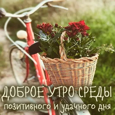 С добрым утром!#видеооткрытка #открыткасдобрымутром#открытка #рекоменд... |  TikTok