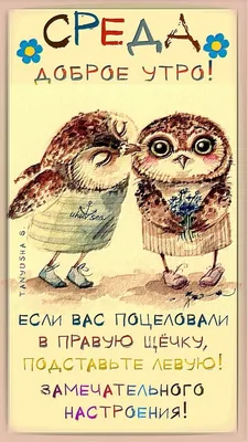 Картинки с добрым утром прикольные среда весна (60 фото) » Картинки и  статусы про окружающий мир вокруг