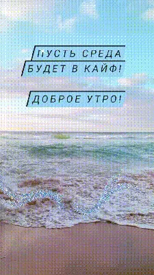 Наконец-то среда. 👀 | Смешные мотивационные цитаты, Доброе утро, Утренние  цитаты