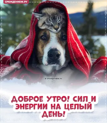 Картинка \"Доброе зимнее утро\", с весёлым снеговиком • Аудио от Путина,  голосовые, музыкальные