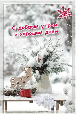 Идеи на тему «Доброе зимнее утро» (190) | открытки, доброе утро, зимние  картинки