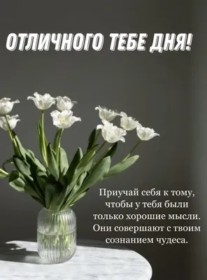 Доброго утра, хорошего дня ! | Красивые открытки 2024 | ВКонтакте