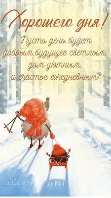 Доброго утра и хорошего дня ! | Красивые открытки 2023 | ВКонтакте