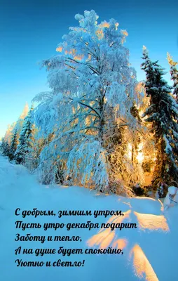 Доброе морозное утро (Много фото) - treepics.ru