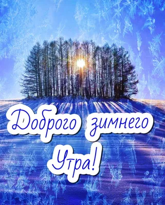 Доброго морозного дня, дорогие товарищи, из Забайкальского края!