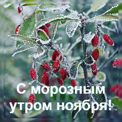 🇷🇺ПОЛЯКОВ ДЕНИС🛡ТРЭВЕЛ- ЮРИСТ⚖️ ПРЕТЕНЗИИ🖊ИСКИ📑СУДЫ🇷🇺 | Всем доброго  морозного дня