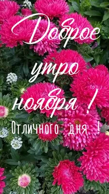 Всем доброго ноябрьского утра! Не успели купить схемку на распродаже? Не  беда! Только сегодня!.. | ВКонтакте