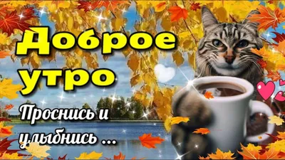 Доброго ноябрьского утра! - YouTube