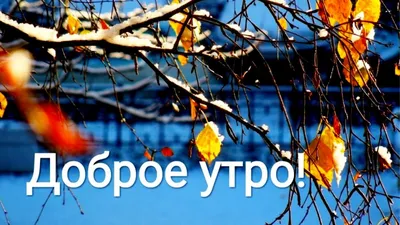 Картинки \"Доброго ноябрьского утра!\" (74 шт.)