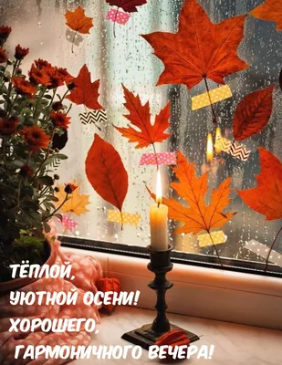 Доброго осеннего вечера☕ | Открытки Тедди | ВКонтакте