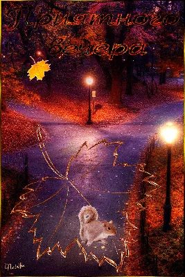 Хорошего осеннего вечера - новые красивые открытки (43 ФОТО)