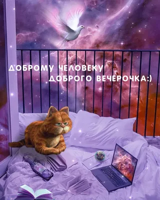 Душевные картинки ДОБРОГО ВЕЧЕРА