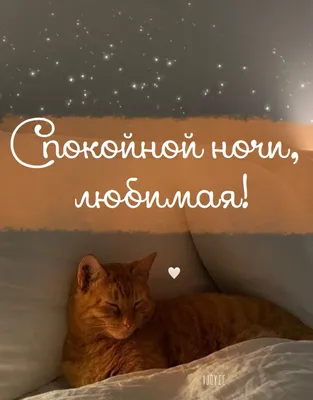 Открытка спокойной ночи мужу — Slide-Life.ru
