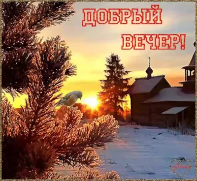 Доброго зимнего вечера, друзья 🌃❄️❄️❄️ | TikTok