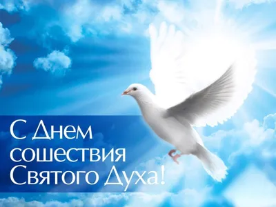 День Святого Духа 2022 в Украине – что нельзя делать 13 июня – картинки,  поздравления | OBOZ.UA