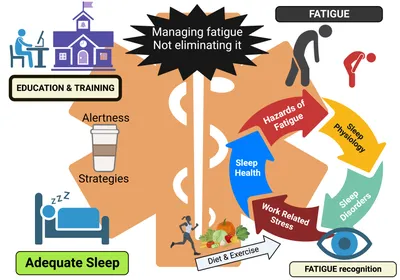 EMS Training vs. Traditional Workouts: A Comparative Analysis