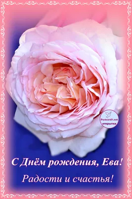 Именной шар сердце малинового цвета с именем Ева купить в Москве за 660 руб.