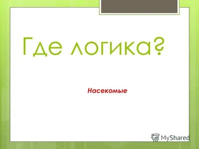 Интеллектуальная игра «Где логика?» 2023, Меленковский район — дата и место  проведения, программа мероприятия.