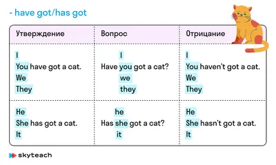 Present Simple: 5 правил, как объяснить его раз и навсегда