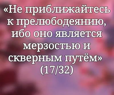 Принтоман Футболка с надписью СканДалина