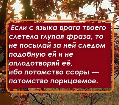 Новые надписи на теле кизлярского мальчика | Ислам в Дагестане