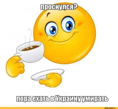 с добрым утром#котики#смешные котики#юмор приколы # | TikTok